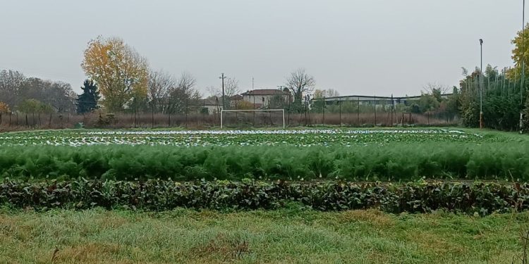 Il campo sportivo che “non c’è più”: la Lega protesta