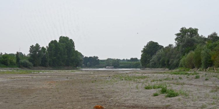 Emergenza acqua, focus del mondo agricolo a Pavia