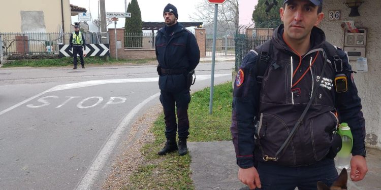 Bocconi avvelenati a Pegognaga: mini task force dei carabinieri