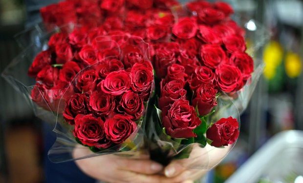 San Valentino: Cia, con boom prezzi rose a 10 euro nel bouquet predomina il verde