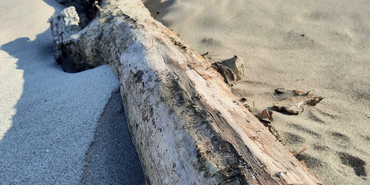 Po ancora in sofferenza per la siccità: magra peggiore di un anno fa
