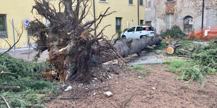 Grandine, settimana d’inferno per Mantova e per l’agricoltura